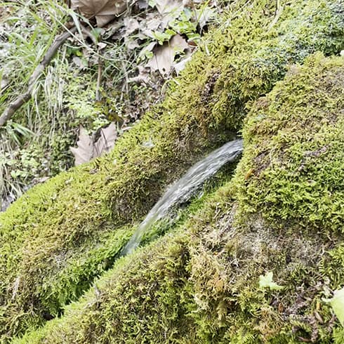 Itinéraire fontaine de can Catau