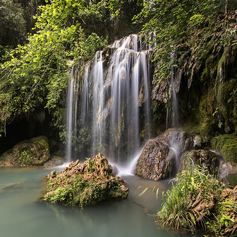 Gorg of Les Planes d'Hostoles